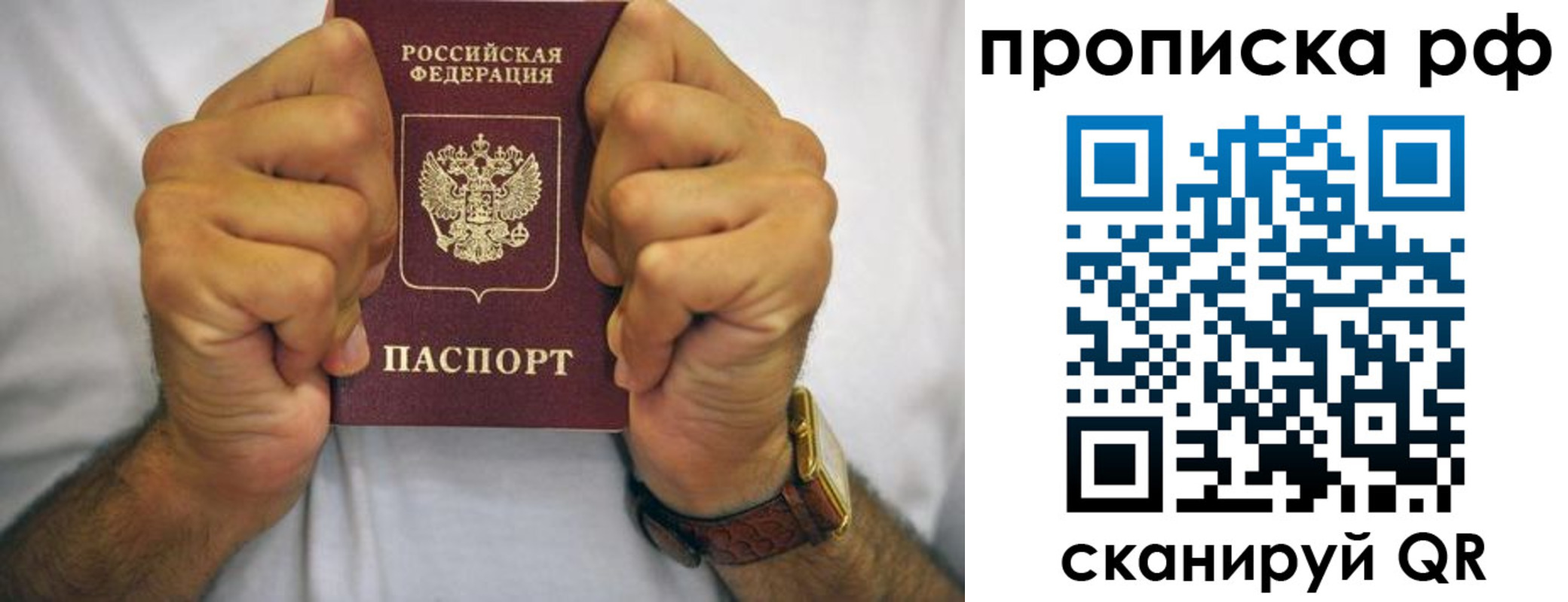 прописка регистрация в Жукове